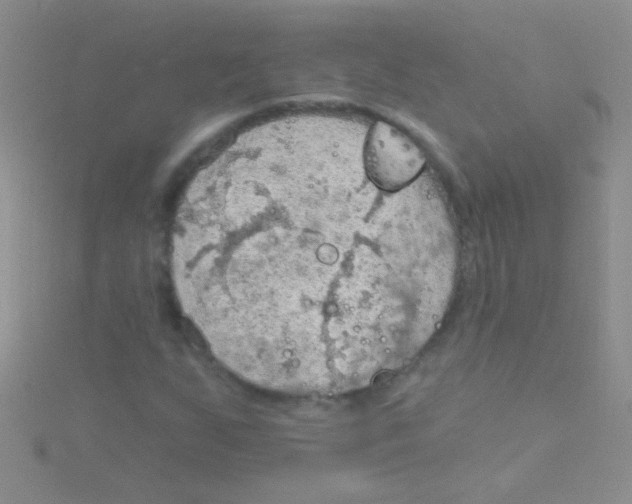 X0000115031255200911231105