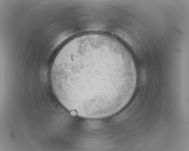 X0000115031258200911231105