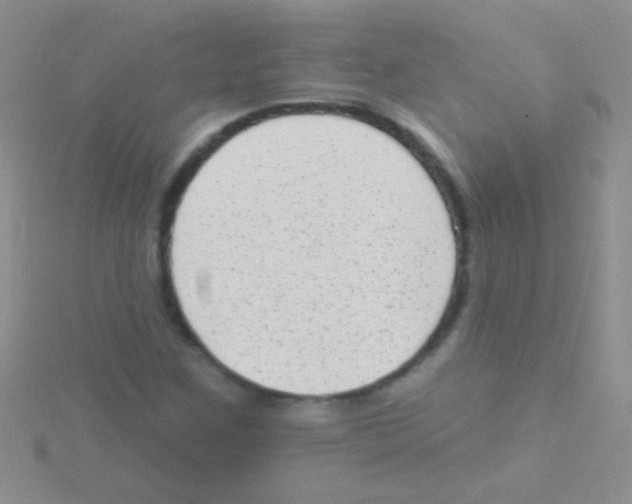 X0000115031259200911231105