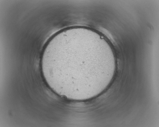 X0000115031260200911231105