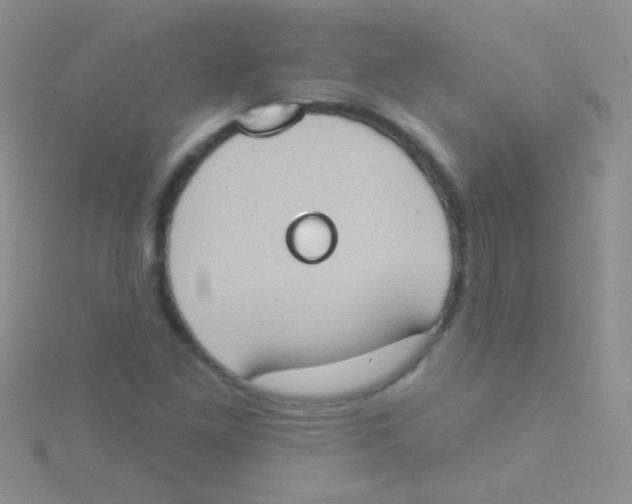 X0000115031261200911231105