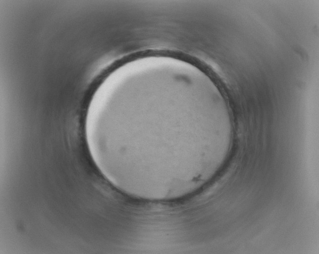 X0000115031263200911231105