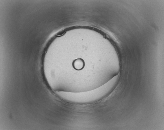 X0000115031264200911231105