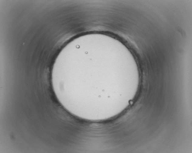 X0000115031265200911231105