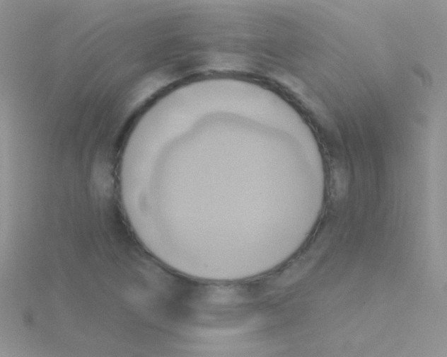 X0000115031266200911231105