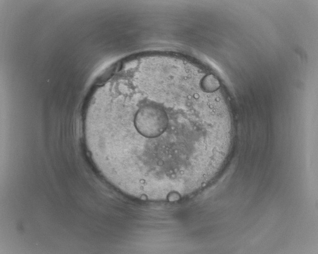 X0000115031267200911231105