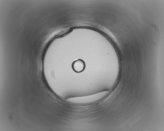 X0000115031269200911231105