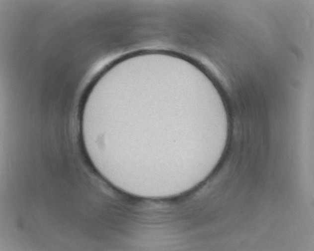 X0000115031270200911231104