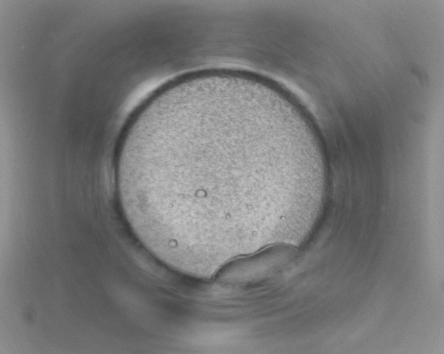 X0000115031271200911231104