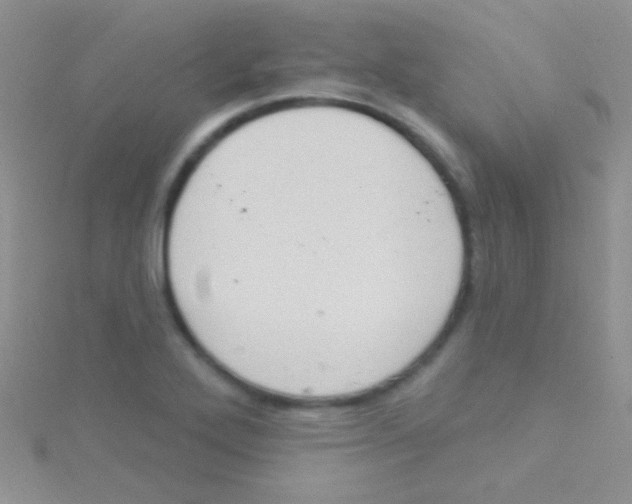 X0000115031272200911231104