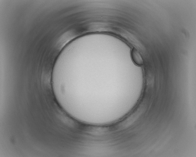 X0000115031273200911231104