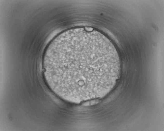 X0000115031274200911231104