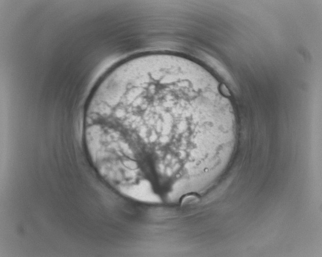 X0000115031275200911231104