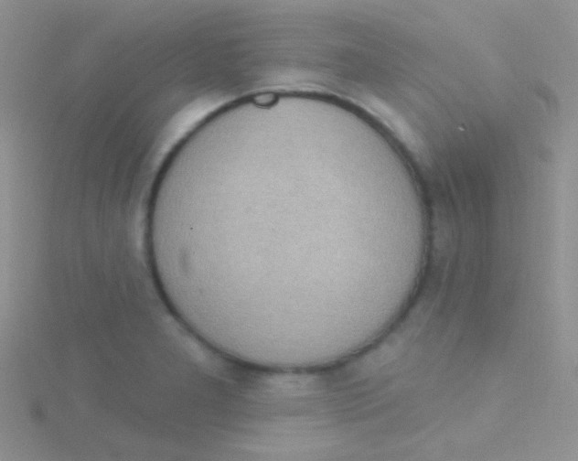 X0000115031277200911231104