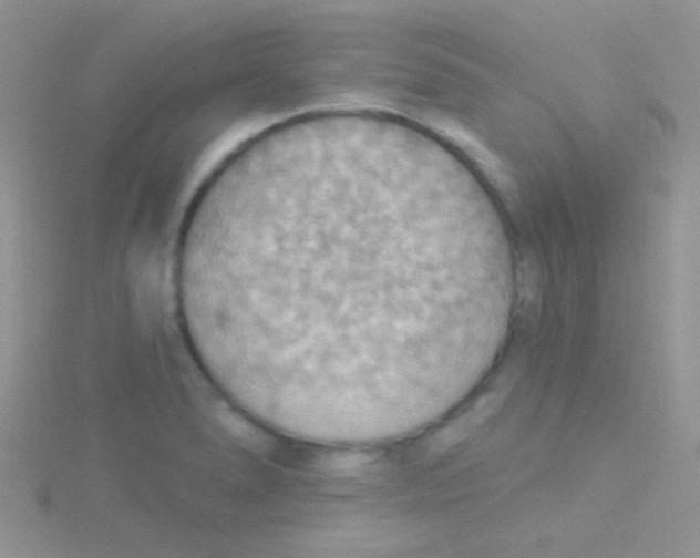 X0000115031278200911231104