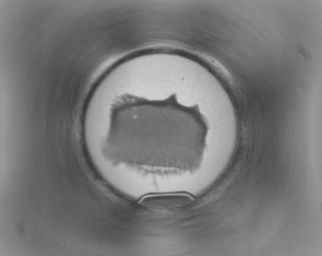 X0000115031279200911231104