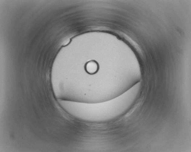 X0000115031281200911231104