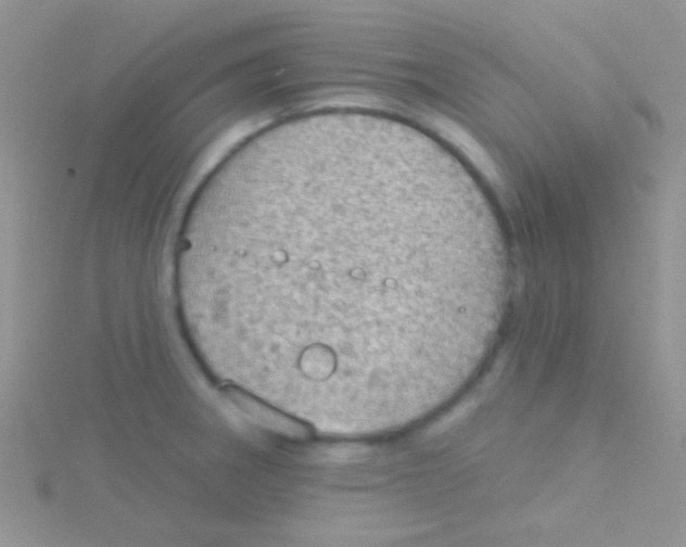 X0000115031282200911231104