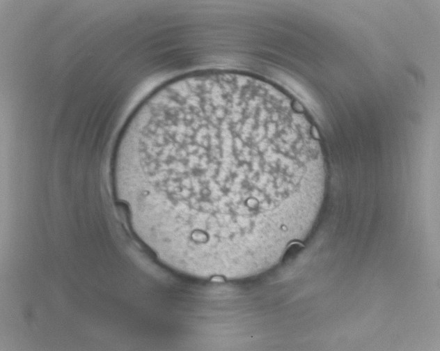 X0000115031283200911231104