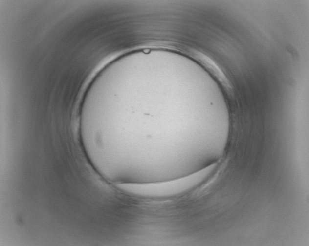 X0000115031284200911231104