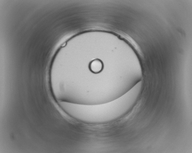 X0000115031285200911231104