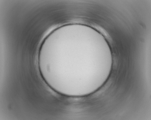 X0000115031286200911231104