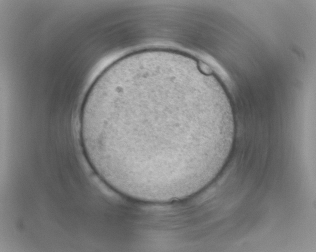 X0000115031287200911231104