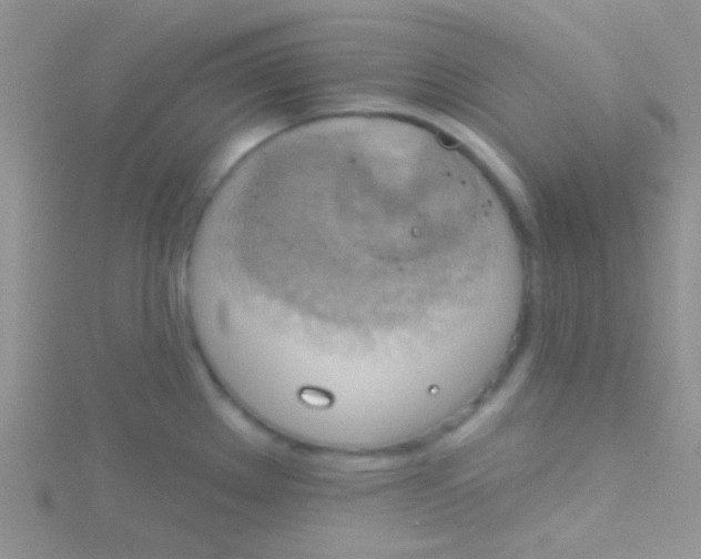 X0000115031289200911231104