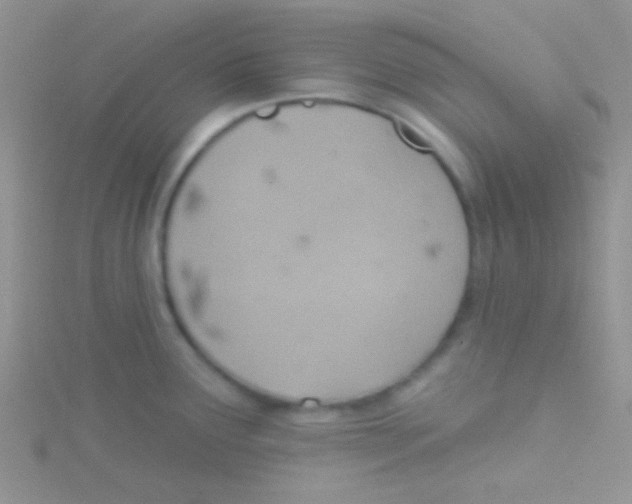 X0000115031291200911231104