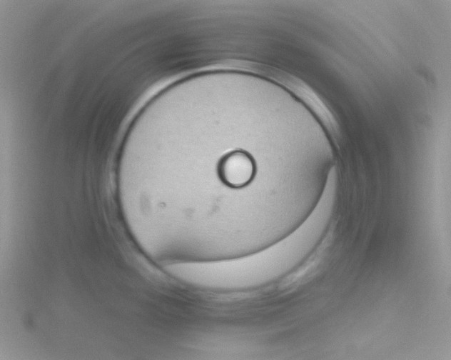 X0000115031292200911231104