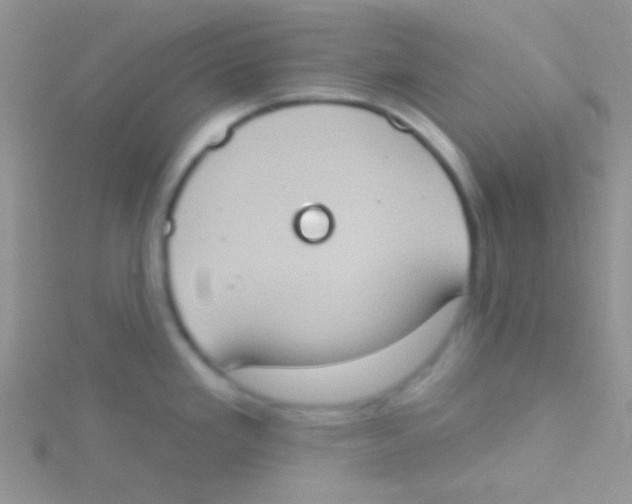 X0000115031293200911231104