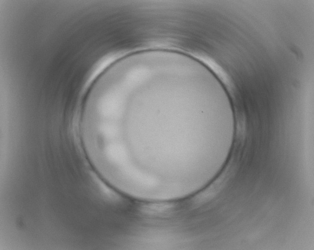 X0000115031294200911231104