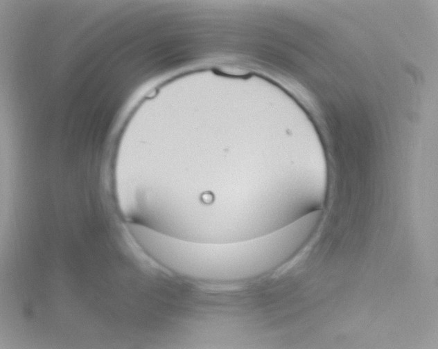 X0000115031296200911231104