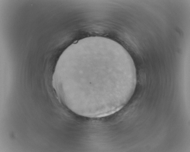 X0000115031297200911231104