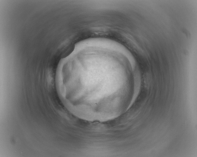 X0000115031298200911231104