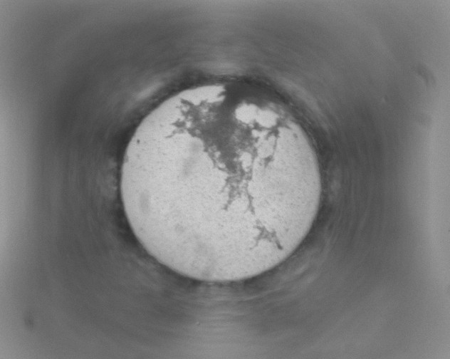 X0000115031301200911231104