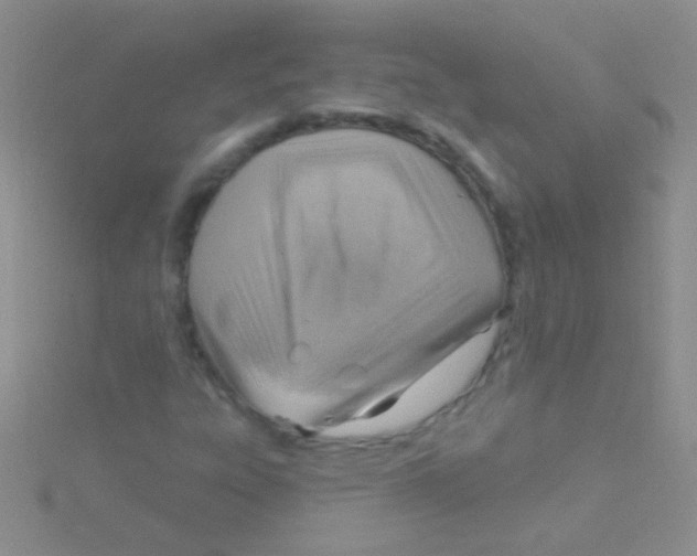 X0000115031303200911231104