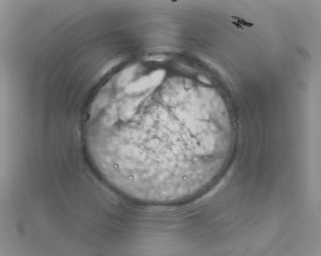 X0000115031305200911231104