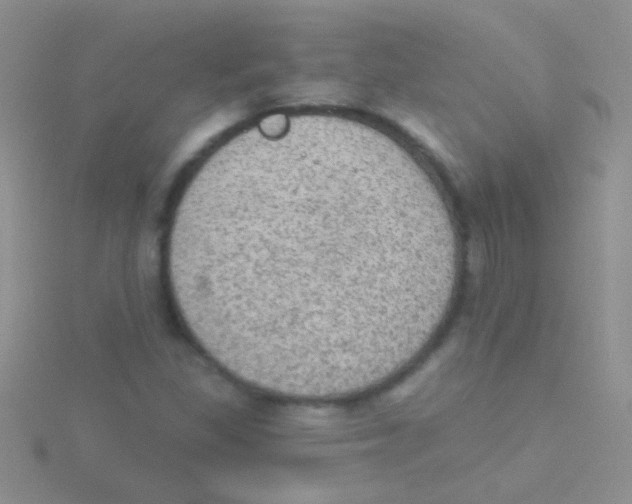 X0000115031309200911231104