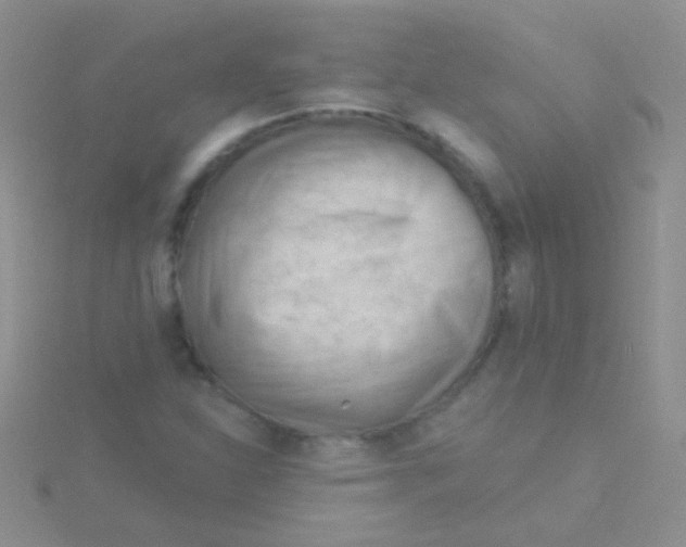 X0000115031310200911231104