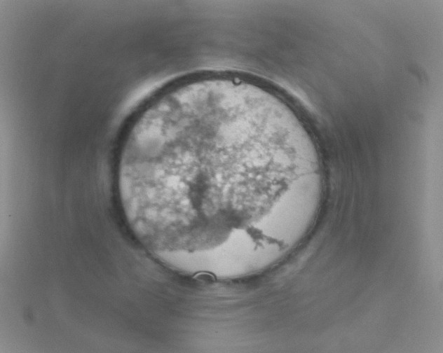 X0000115031311200911231104