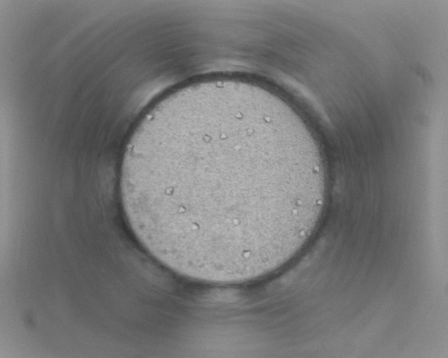 X0000115031313200911231104