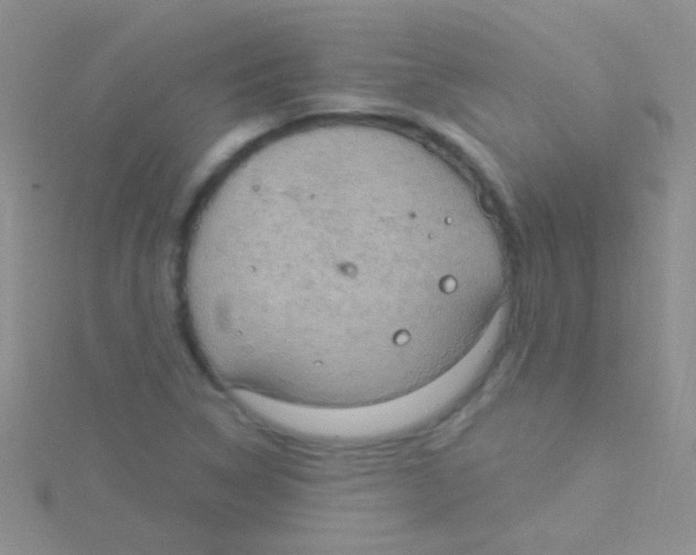 X0000115031314200911231104