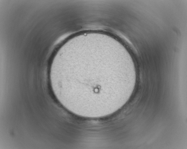 X0000115031315200911231104