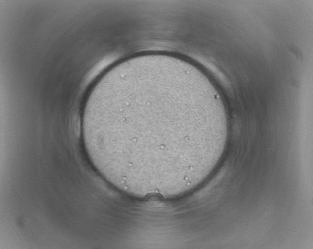 X0000115031317200911231104