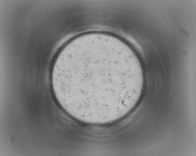 X0000115031318200911231104