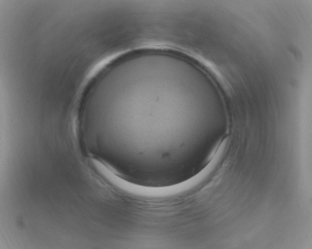 X0000115031319200911231104