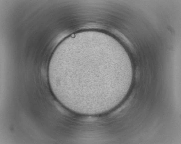 X0000115031321200911231104