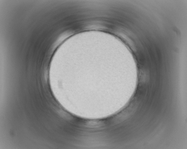 X0000115031322200911231104