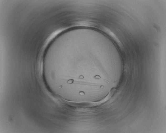 X0000115031323200911231104